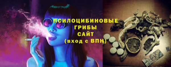 PSILOCYBIN Балахна